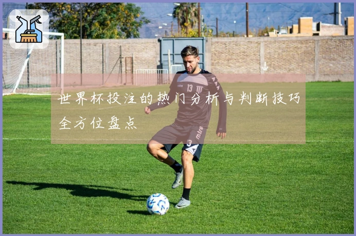 世界杯投注的热门分析与判断技巧全方位盘点