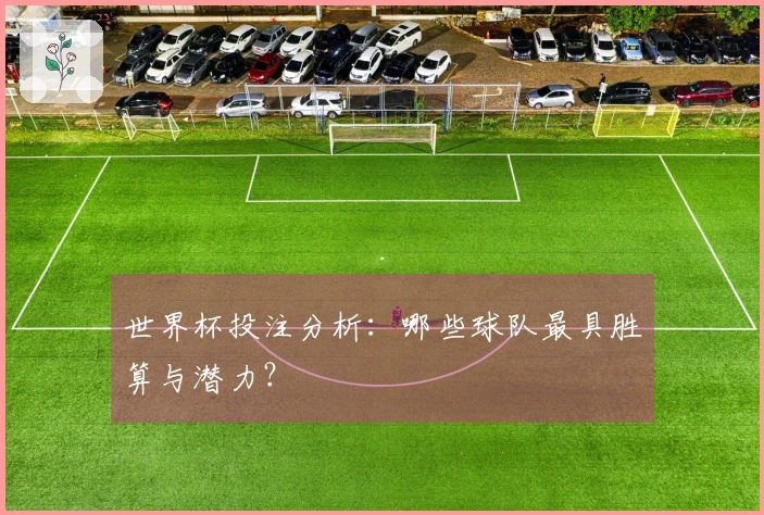 世界杯投注分析：哪些球队最具胜算与潜力？