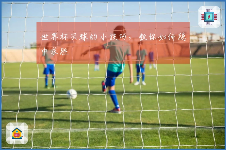 世界杯买球的小技巧，教你如何稳中求胜