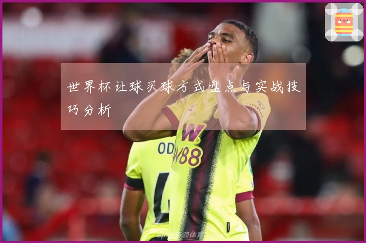 世界杯让球买球方式盘点与实战技巧分析