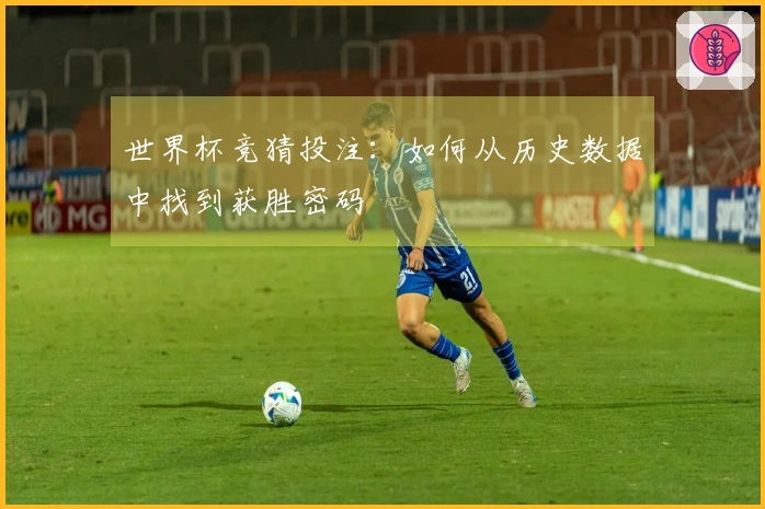 世界杯竞猜投注:如何从历史数据中找到获胜密码