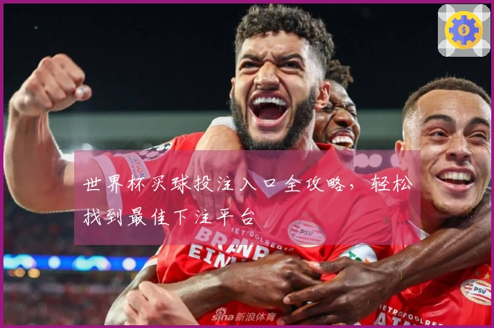 世界杯买球投注入口全攻略，轻松找到最佳下注平台