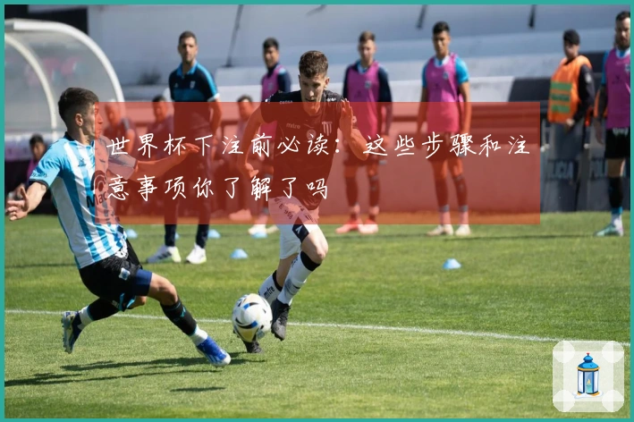 世界杯下注前必读：这些步骤和注意事项你了解了吗
