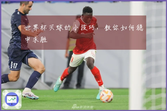 世界杯买球的小技巧，教你如何稳中求胜