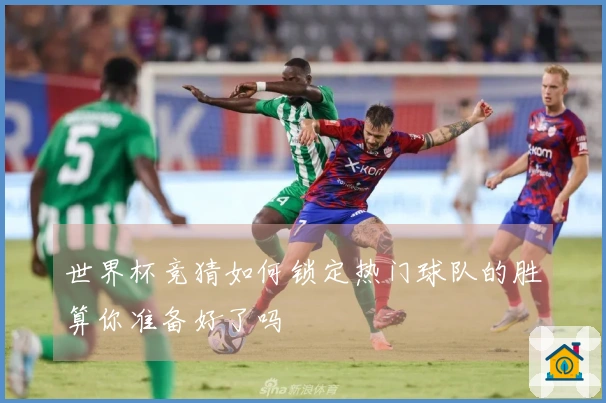 世界杯竞猜如何锁定热门球队的胜算你准备好了吗