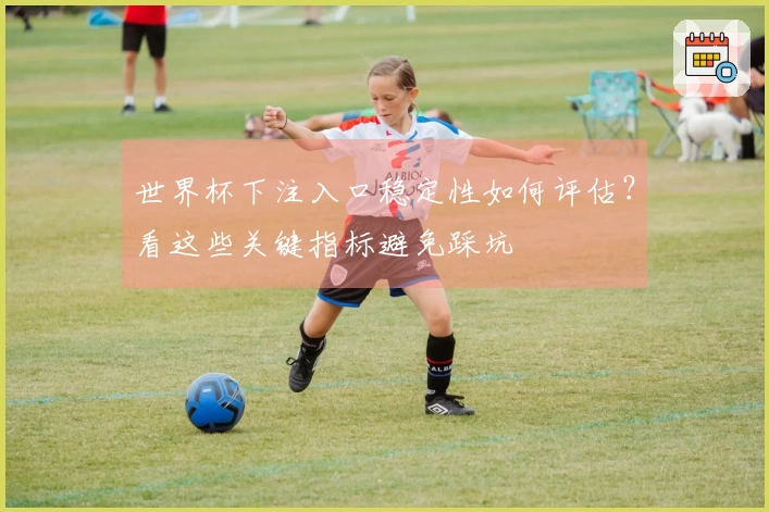 世界杯下注入口稳定性如何评估？看这些关键指标避免踩坑