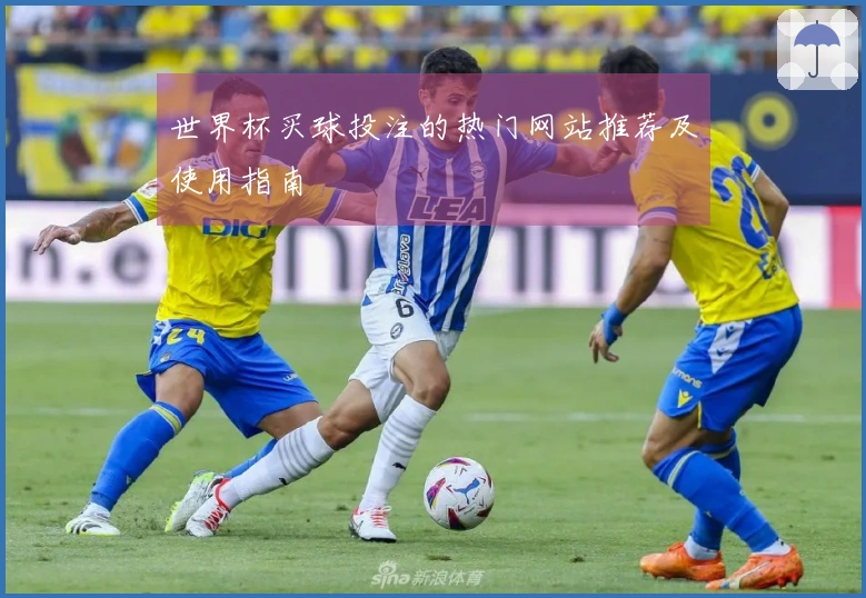 世界杯买球投注的热门网站推荐及使用指南