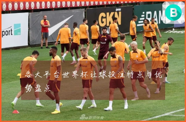 各大平台世界杯让球投注特点与优势盘点