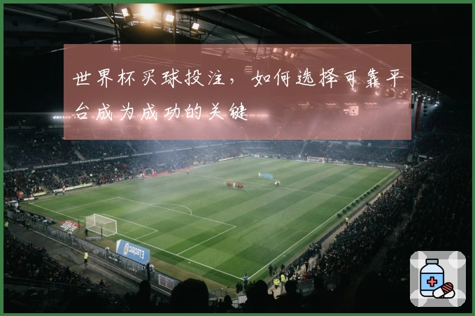 世界杯买球投注，如何选择可靠平台成为成功的关键
