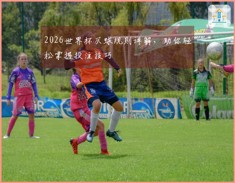 2026世界杯买球规则详解，助你轻松掌握投注技巧